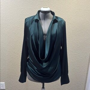 Green Draped Long Sleeve Blouse with Notched Collar